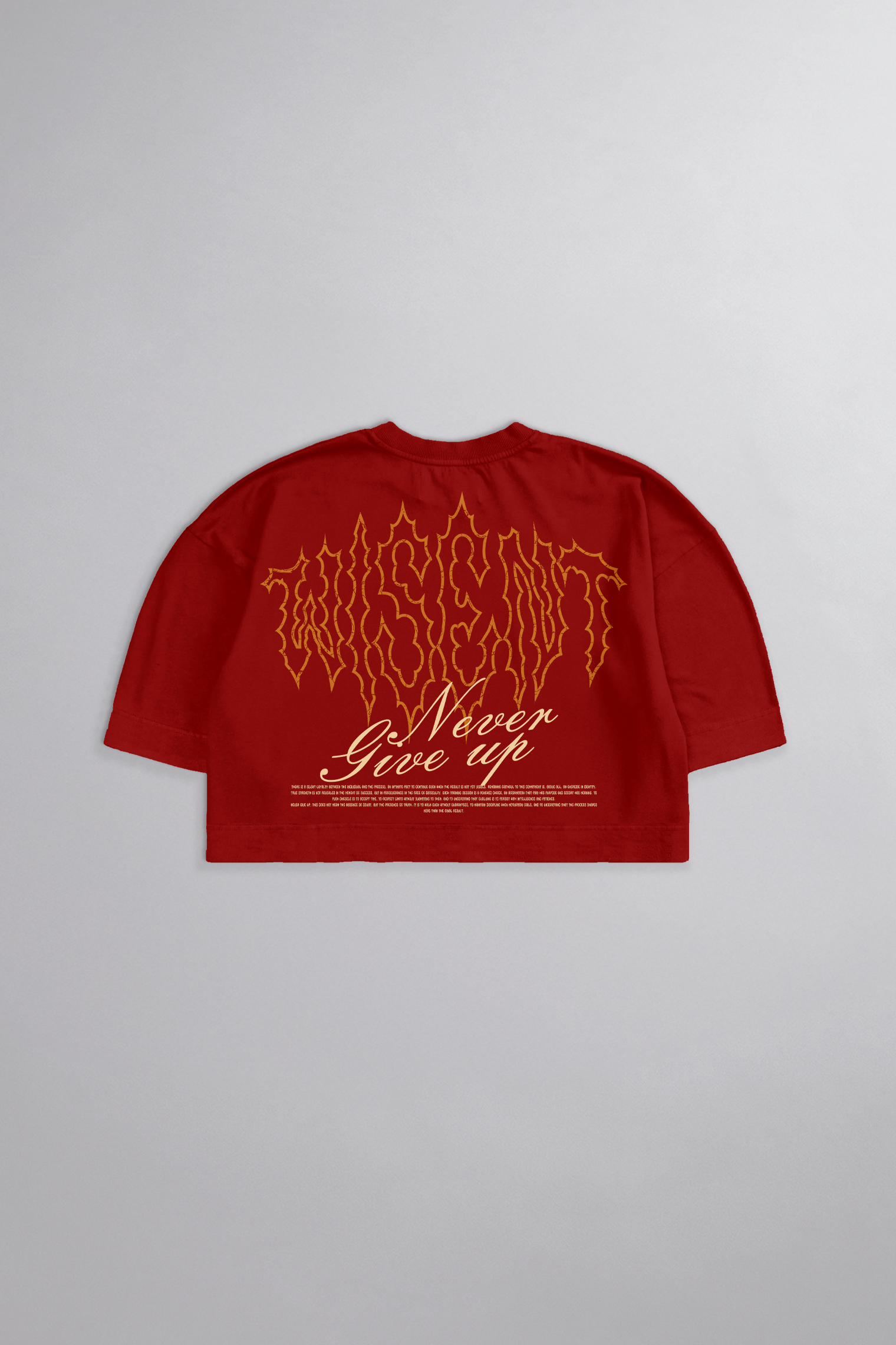 SOFT - CROPPED OVERSIZED - NEVER GIVE UP VERMELHA