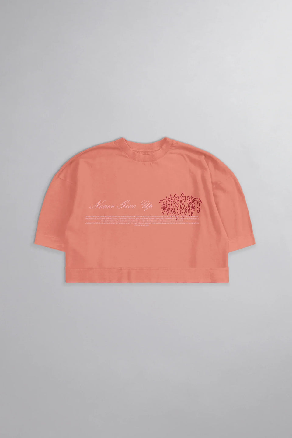 SOFT - CROPPED OVERSIZED - NEVER GIVE UP ROSA