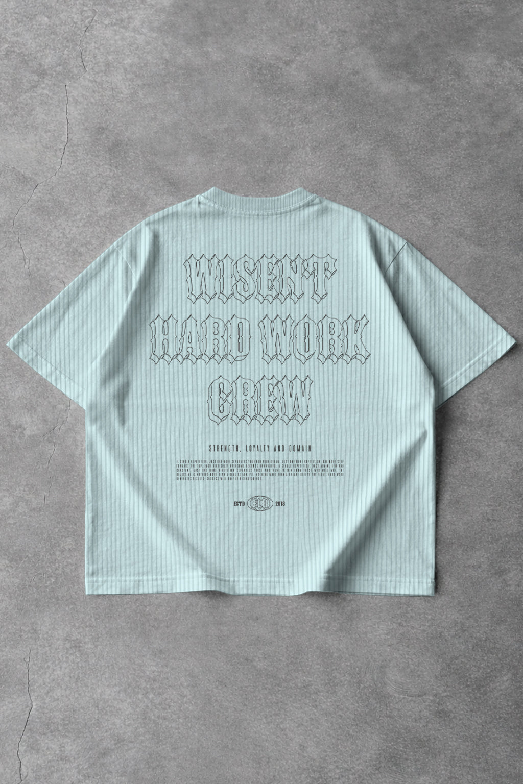 CANELADA - CAMISETA OVERSIZED - HARD WORK FLD AZUL CLARO