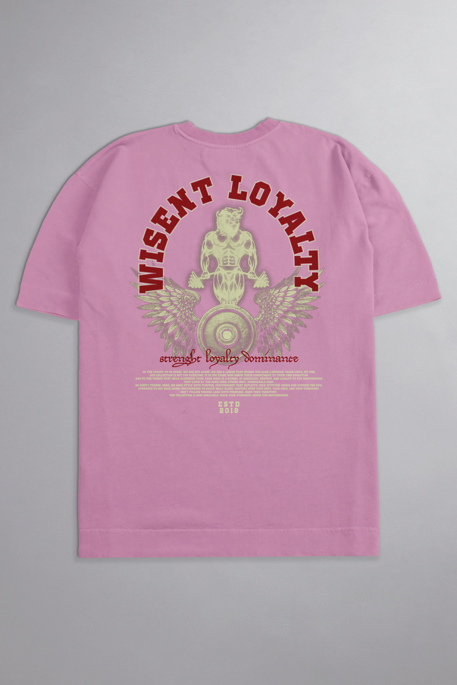 SOFT - CAMISETA OVERSIZED - LOYALTY ROSA